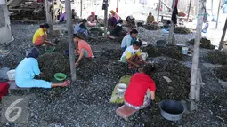 Sejumlah pekerja mengupas kulit kerang di pemukiman nelayan, Jakarta, Rabu (19/8). Kebanyakan buruh pengupas kulit kerang ini adalah pekerja serabutan dengan penghasilan 30 ribu perhari. (Liputan6.com/Angga Yuniar)