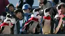 Sejumlah penguin berjalan beriring mengenakan kostum nuansa natal di Hakkeijima Sea Paradise di Yokohama, Jepang (12/12/2015). Kegiatan Natal di Hakkeijima Sea Paradise akan berjalan sampai tanggal 25 Desember (AFP PHOTO / Toshifumi Kitamura)