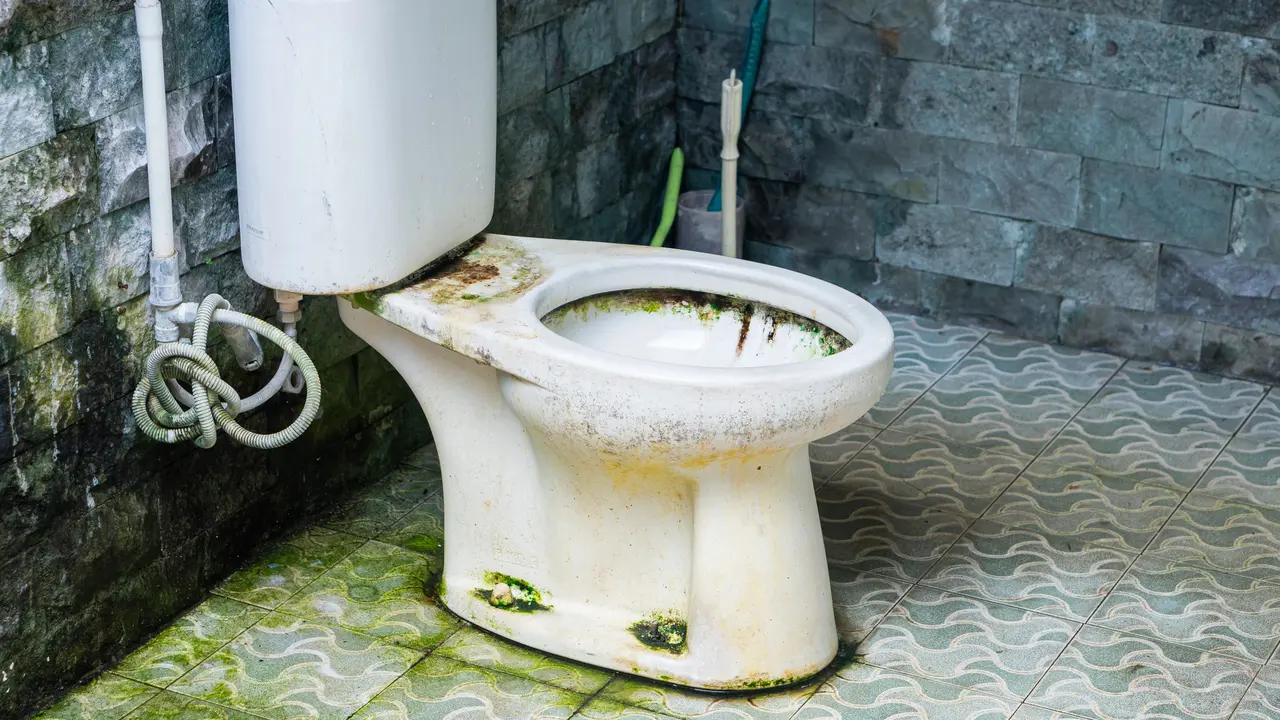 7 Tips Membersihkan Kamar Mandi Berlumut yang Praktis dan Terjangkau