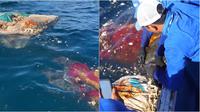 Kru pembersih temukan penyu dewasa terperangkap di dalam kasur besar yang terapung di laut Bali. (sumber: TikTok/4ocean via World of Buzz)