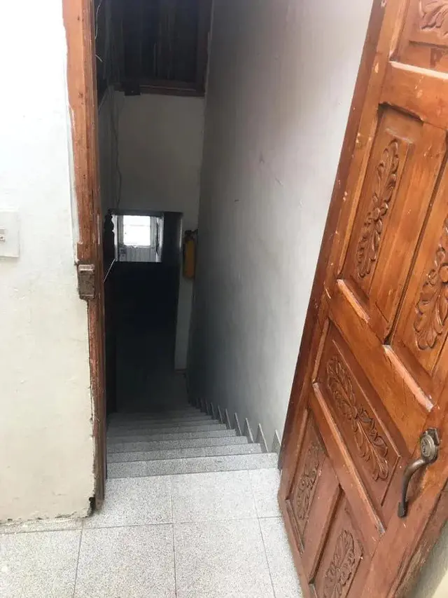 kucing selamatkan bayi