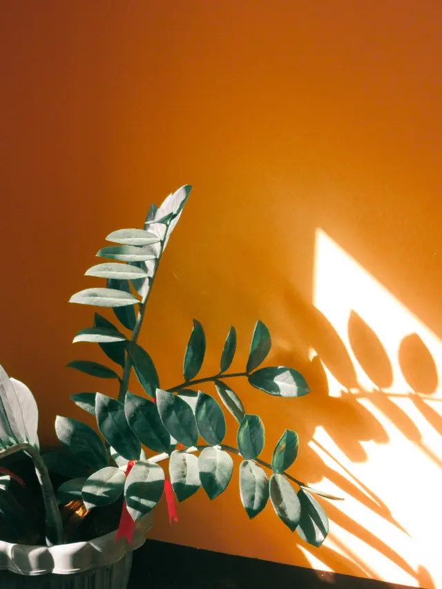 Akibat Paparan Sinar Matahari