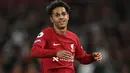 Selebrasi gelandang Liverpool, Fabio Carvalho setelah berakhirnya laga menghadapi Newcastle United pada laga Liga Inggris 2022/2023 di Anfield Stadium, Liverpool (31/8/2022). Baru didatangkan dari Fulham pada awal musim 2022/2023, Fabio Carvalho yang berusia 20 tahun total telah dimainkan Liverpool dalam 20 laga musim ini dengan torehan 3 gol, termasuk satu gol dalam 12 laga di Premier League. (AFP/Paul Ellis)