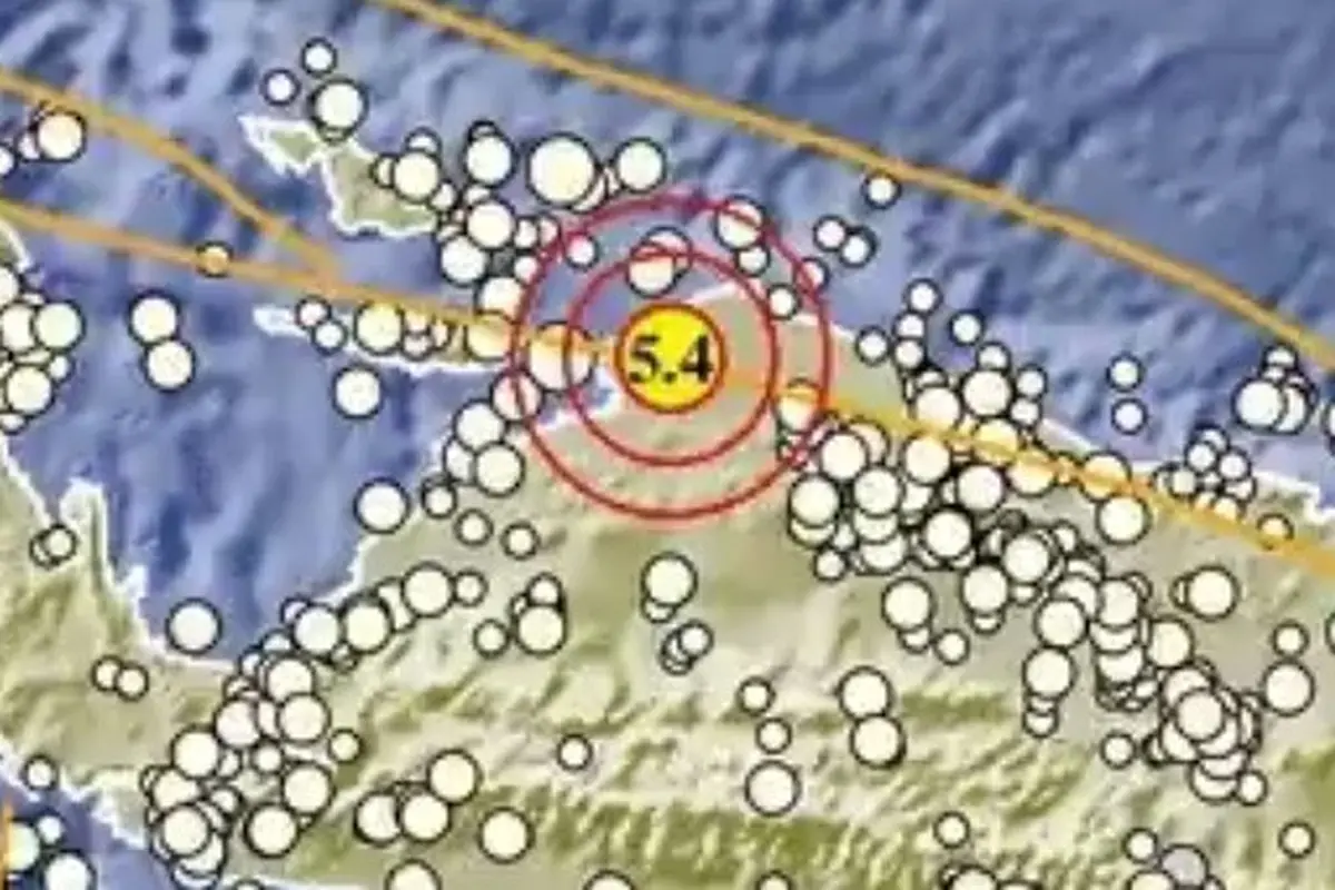 gempa papua