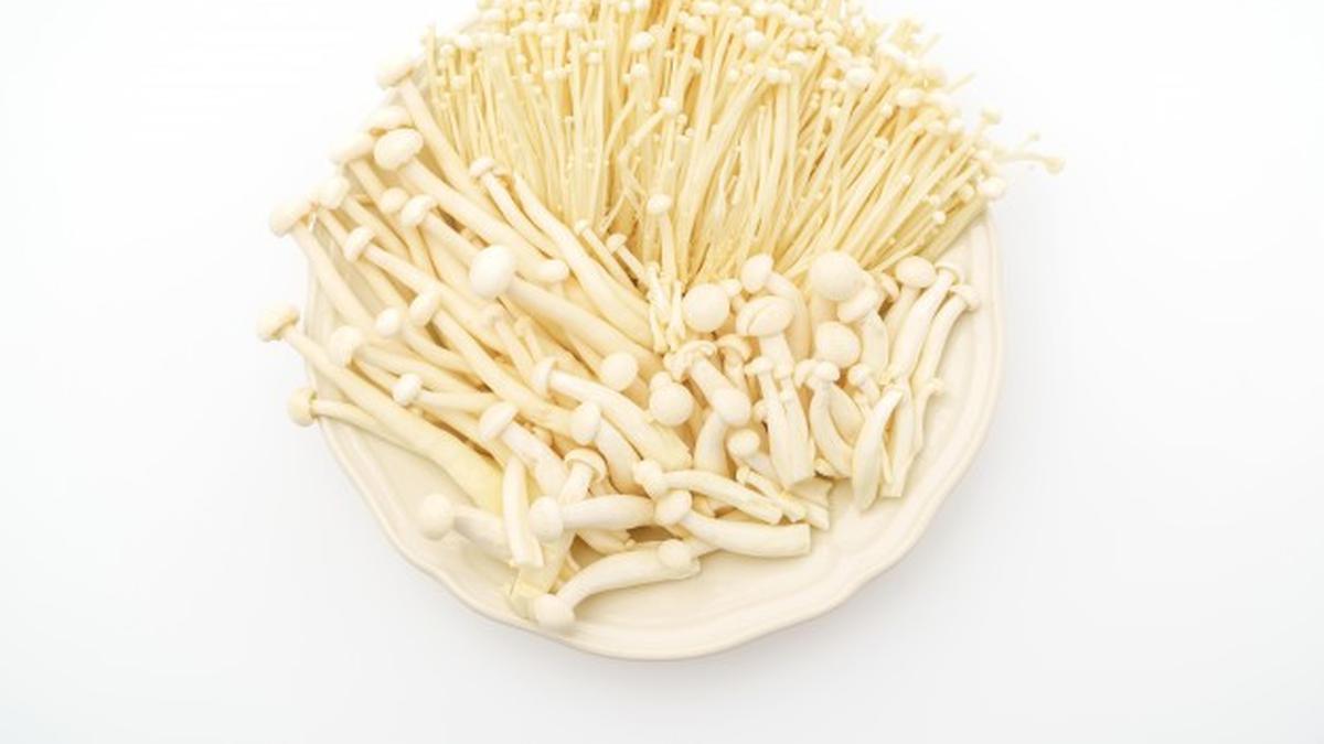 Manfaat Jamur Enoki, Superfood Lezat untuk Menurunkan Kolesterol dan Meningkatkan Kesehatan