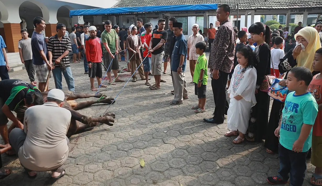 "Sedih, karena kan udah memiliki dan harus rela dikurbankan, jadi ya sedih aja," ujar Krisdayanti di kawasan Jeruk Perut, Jakarta Selatan, Sabtu (2/9/2017) dilansir dari Liputan6. (Bambang E Ros/Bintang.com)