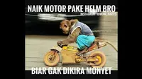 Meme Otomotif Pekan Ini: Makanya Pakai Helm