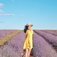 Short Desc