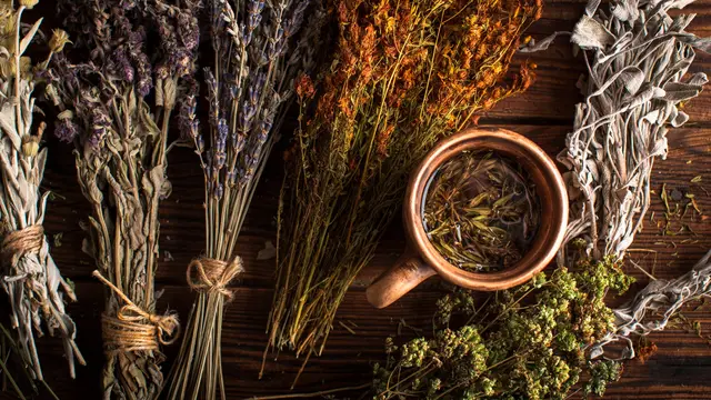 Ilustrasi tanaman herbal