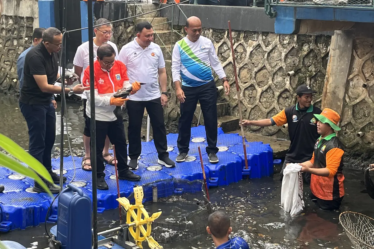 Pramono meninjau gerakan tangkap ikan sapu-sapu di Saluran RW 06, Kelapa Gading Barat, Jakarta Utara, Jumat (17/4/2026).