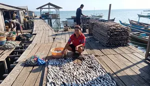 Kisah Pengusaha Ikan Kering Sorong Naik Kelas Berkat Program Klasterku Hidupku BRI