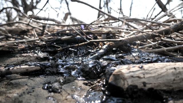 Tumpahan Minyak Pertamina Cemari Perairan Muara Gembong