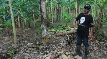 Lahan seluas 72 hektare yang disengketakan antara warga dengan PTPN IX di Dusun Cikuya, Bantar, Wanareja, Cilacap. (Foto: Liputan6.com/Muhamad Ridlo)