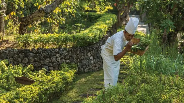 Jala Cooking Academy, Memberikan Pengalaman Memasak yang Seru dan Spesial