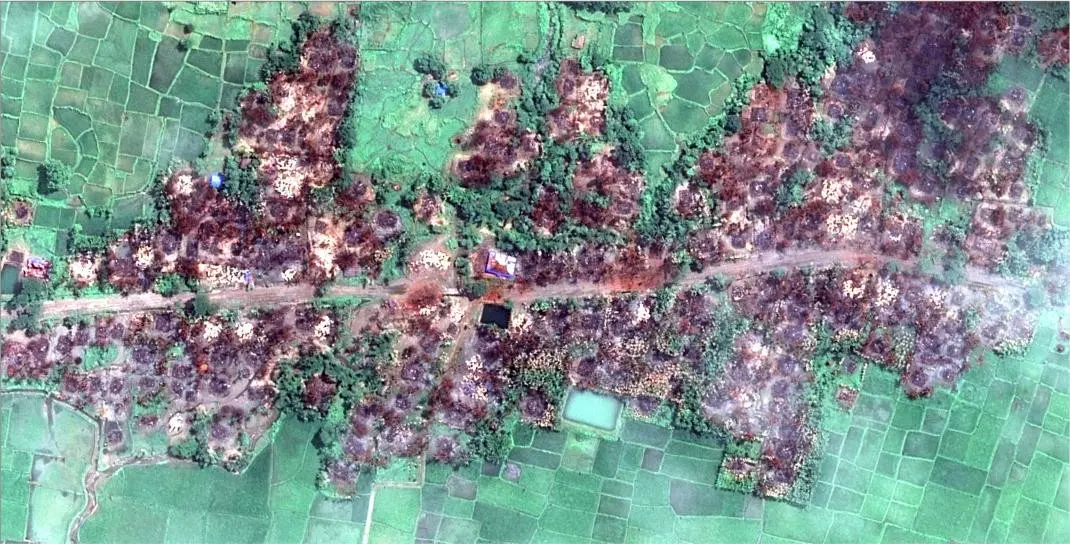 Salah satu citra satelit yang menunjukkan desa yang hancur pascakonflik bersenjata di Rakhine, Myanmar (Twitter/Kenneth Roth)