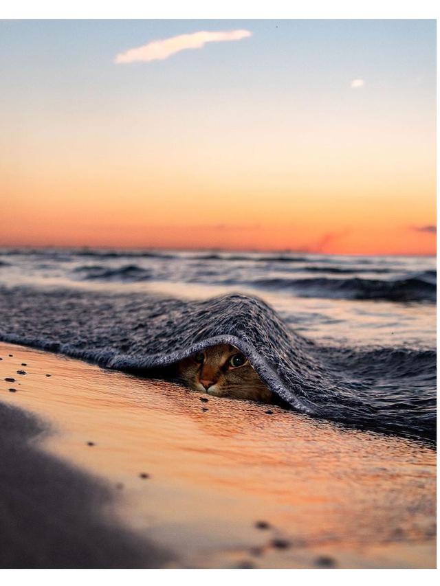 6 Editan Foto Karya Fotografer Ini Keren Dan Epik Banget