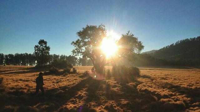 [Bintang] Jawa Timur