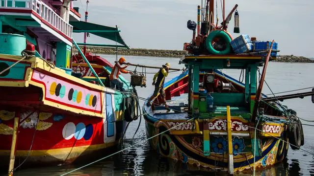 Ikan Hiu