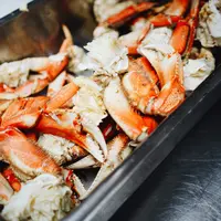 kepiting/copyright: unsplash/marie france latour