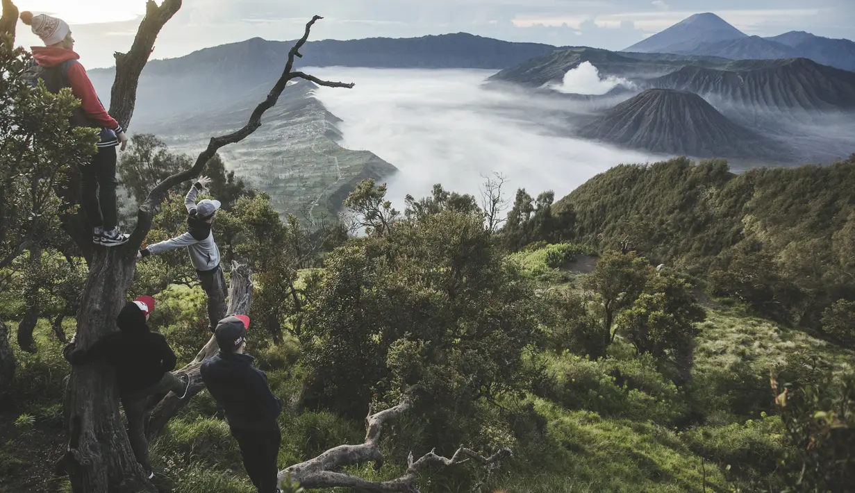 Tim Red Bull Skydive melakukan survei di Puncak Penanjakan, Taman Nasional Bromo Tengger Semeru, Jawa Timur. 27 Februari 2015. (Red Bull Content Pool)