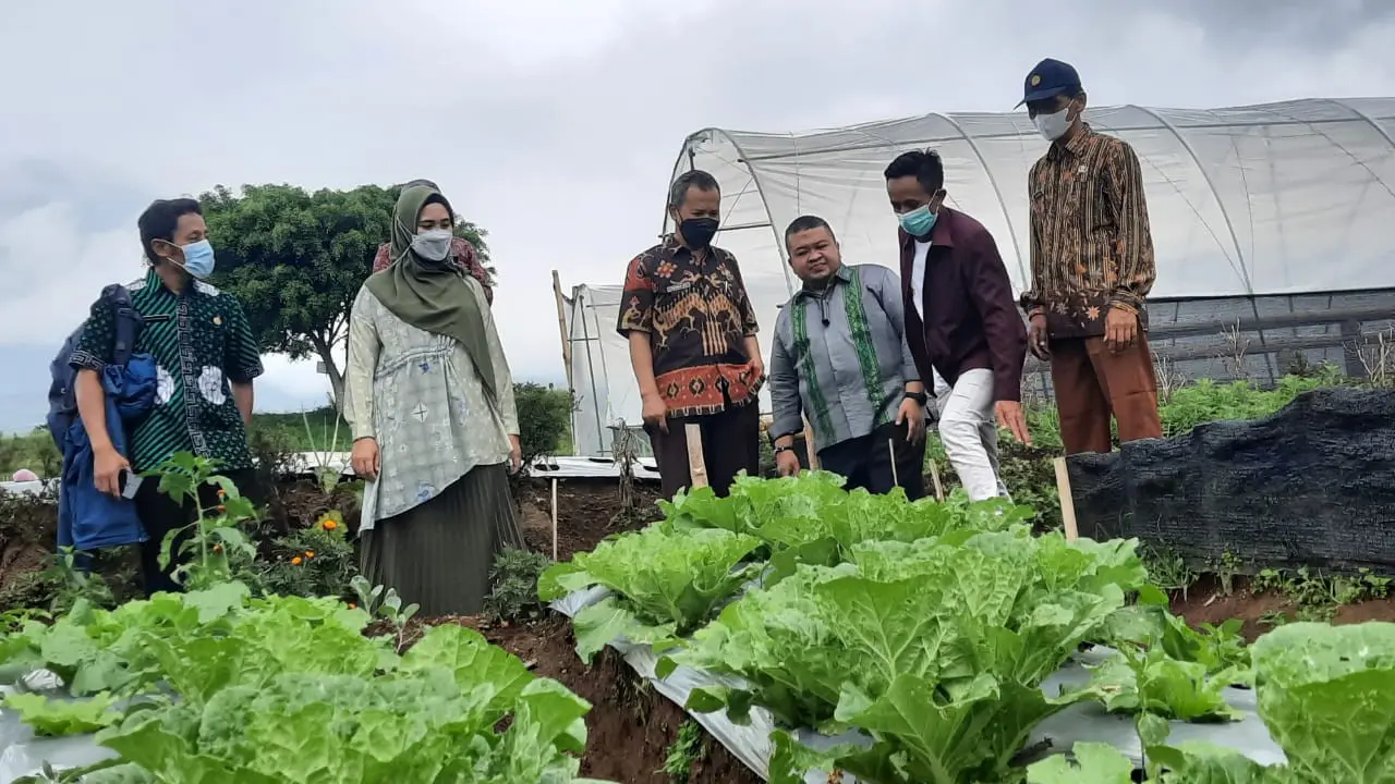Ilustrasi - Konsep food estate di Wonosobo, Jawa Tengah. (Foto: Liputan6.com/Kominfo Wonosobo)