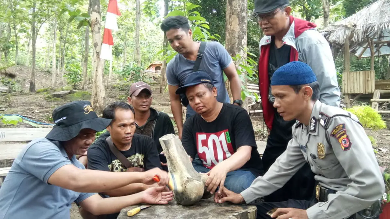 Saat Warga Indramayu Temukan Fosil Gajah Purba
