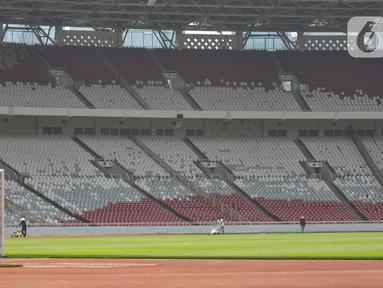 Aktivitas pekerja saat perawatan lapangan Stadion Utama Gelora Bung Karno Senayan, Jakarta Pusat, Kamis (12/1/2023). Perawatan kebersihan Stadion berkapasitas 88.083 penonton tersebut dilakukan secara rutin jelang pertandingan Internasional Sepakbola U-20 di Indonesia yang diikuti 24 negara untuk ajang bergengsi sepak bola yang akan berlangsung 20 Mei hingga 11 Juni 2023 mendatang. (merdeka.com/Iqbal S Nugroho)