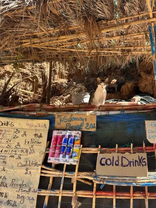 8 Potret Kucing saat Jaga Warung Ini Bikin Gemas, Dagangan Langsung Laris