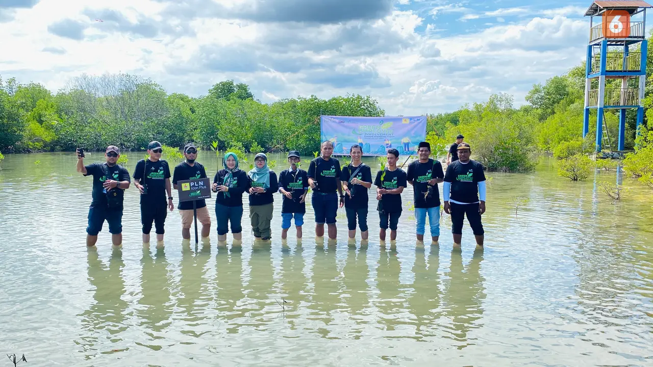 PLN Icon Plus Makassar tanam mangrove (Liputan6.com/Fauzan)