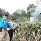 BNN Musnahkan ladang ganja seluas satu hektare di Aceh. (Liputan6.com/Yopi Makdori)