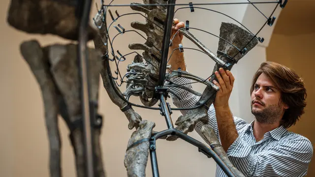 Dinosaurus Barry akan dilelang di Paris