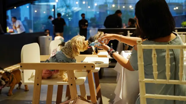 Modena Valentine Special