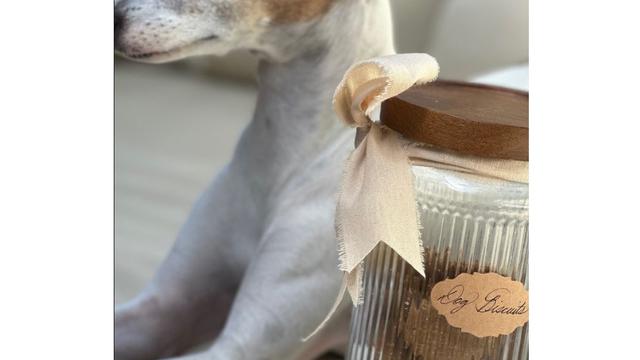 Meghan Markle Bagikan Selai Raspberry dan Biskuit Anjing Jelang Kemunculan Kate Middleton di Trooping the Colour