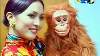Angelina Sondakh Menjadi Duta Orang Utan