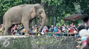 Pengunjung Kebun Binatang Ragunan kembali membeludak di libur Lebaran, Jakarta, Sabtu (9/7). Diprediksi jumlah pengunjung hari (Sabtu) ini mencapai 170.000 orang. (Liputan6.com/Yoppy Renato)