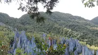 Gunung Api di di Taman Mulu, Borneo, Malaysia. (Dok: Gunung Bagging&nbsp;https://www.gunungbagging.com/api/nggallery/page/2)