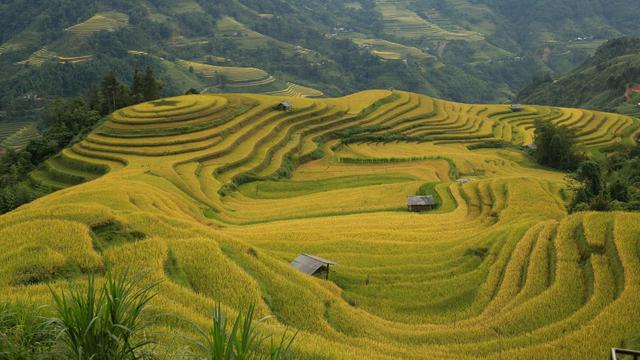 Ha Giang