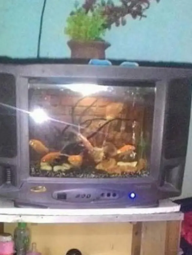 6 Perabotan Rumah Tangga yang Nyeleneh Ini Absurd Pol, Bikin Geleng Kepala