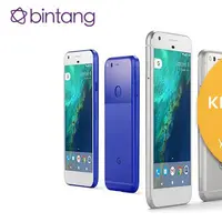 Google merilis smartphone anyar yang unggul di fitur kamera. Tertarik untuk memilikinya? (Via: www.news18.com)