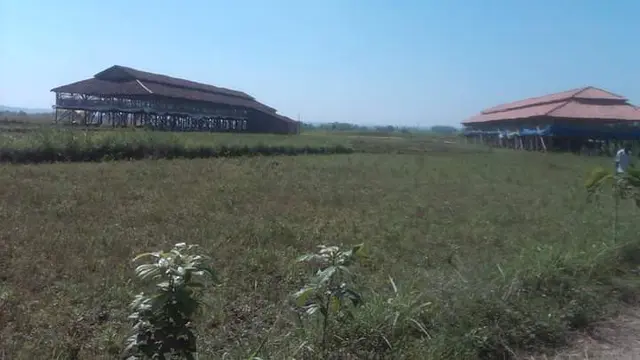 Noyo Gimbal