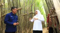 Gubernur Khofifah Luncurkan KUR Khusus Petani Tebu Jatim di Bondowoso