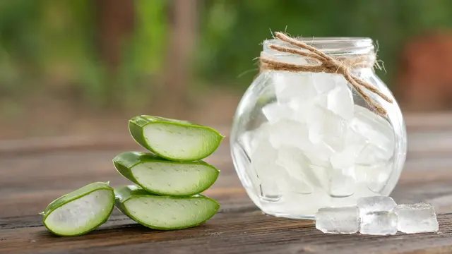Aloe Vera
