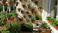 6 Langkah Mudah Membuat Kebun Mini di Area Rumah yang Sangat Terbatas