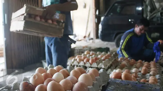 Harga-Telur-Ayam