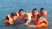 Lumba-lumba nahas itu terjerat akar bakau di Pantai Teluk Sepang, Kota Bengkulu. (Liputan6.com/Yuliardi Hardjo Putro)