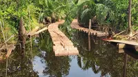 Tual Sagu yang menjadi sumber kehidupan masyarakat Sungai Tohor, Kepulauan Meranti. (Liputan6.com/M Syukur)