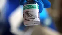 Petugas bio farma menunjukkan vaksin Td (Tetanus difteri) di kantor Dinkes Palu, Sulawesi Tengah, Minggu (7/10). Kemenkes dan Bio Farma memberikan 1000 vial vaksin Td untuk relawan dan masyarakat yang terdampak gempa. (Liputan6.com/Fery Pradolo)