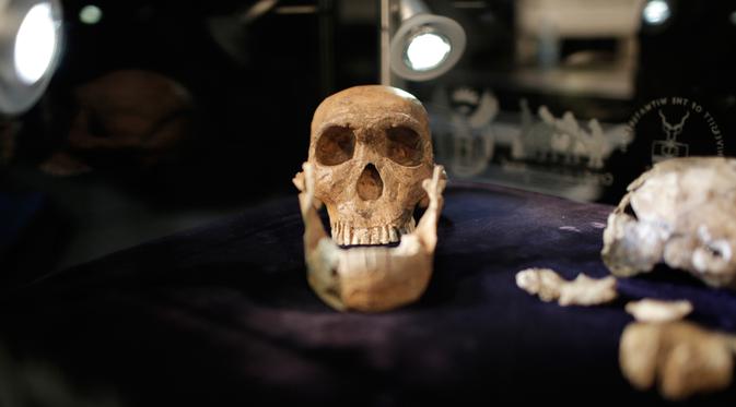 Temuan Fosil Tulang Jari Di Arab Saudi Ungkap Petunjuk Baru Tentang Manusia Purba Pertama Global Liputan6 Com