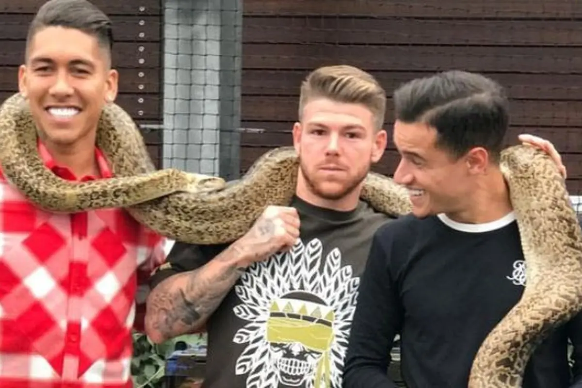 Tiga pemain Liverpool, Roberto Firmino, Alberto Moreno, dan Philippe Coutinho bermain-main dengan ular