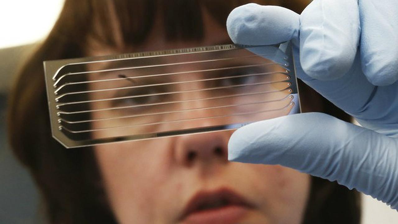 Peneliti di King's College London mengklaim dapat memprediksi prestasi belajar dengan menggunakan DNA.